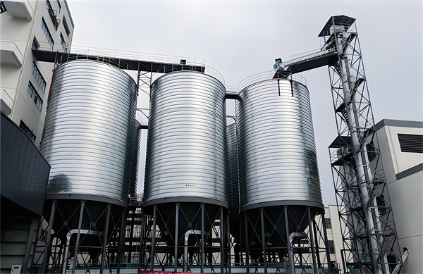 1714822103546151.jpg 96e16108-2401-4def-a454-82b95a9ca917.jpg